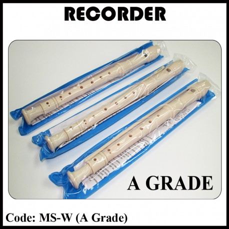 MS-W Recorder (White)