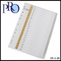 PRO PVC Index Divider (IN-1-20)